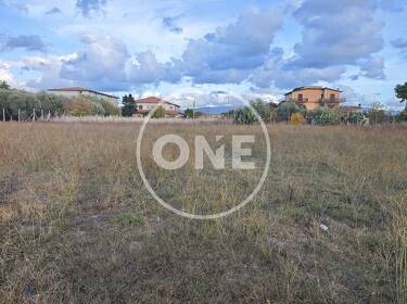 foto principale del terreno