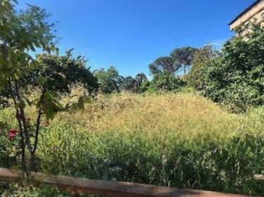 foto principale del terreno