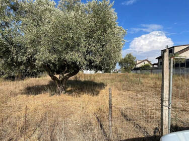 foto principale del terreno