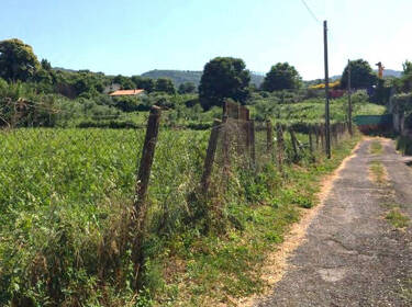 foto principale del terreno