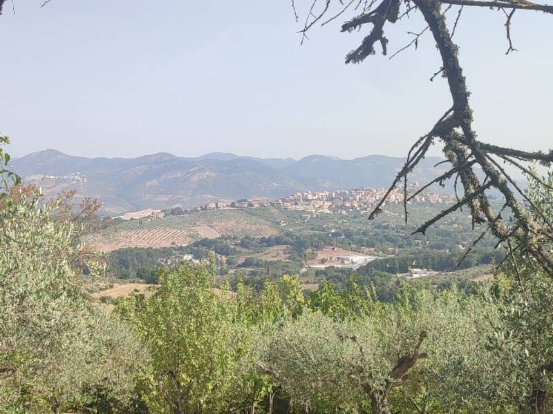 foto principale del terreno