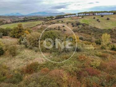 foto principale del terreno