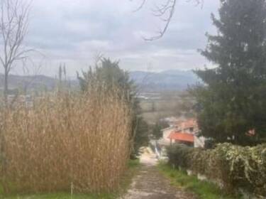 foto principale del terreno