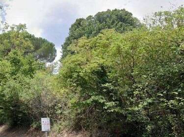 foto principale del terreno