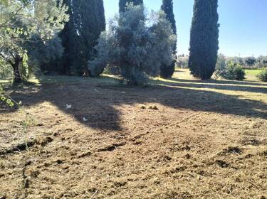 foto principale del terreno