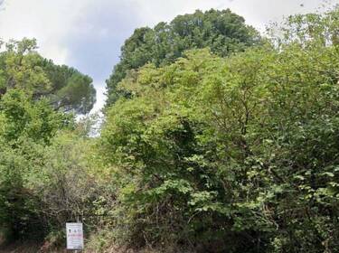 foto principale del terreno