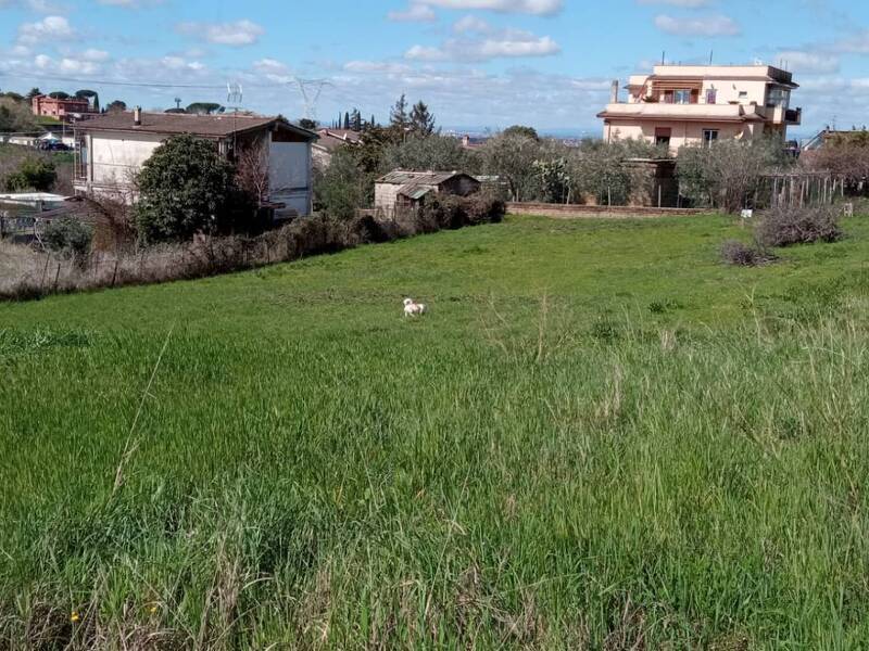 foto principale del terreno