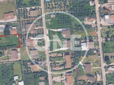 foto principale del terreno