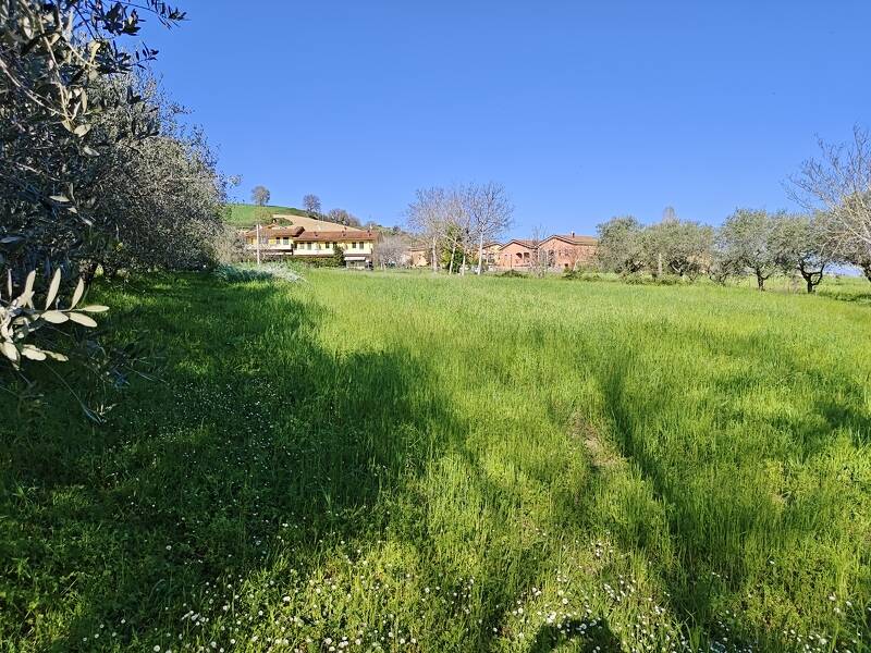foto principale del terreno