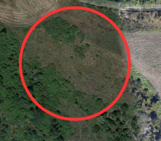 foto principale del terreno