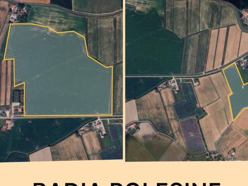 foto principale del terreno