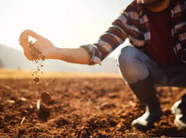 foto principale del terreno