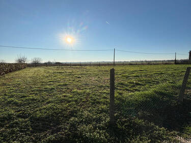 foto principale del terreno