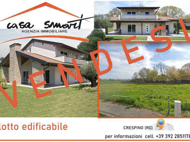 foto principale del terreno