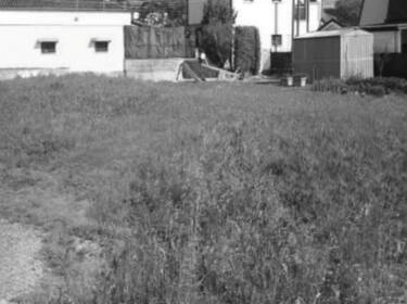 foto principale del terreno