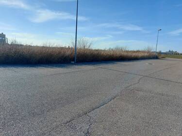 foto principale del terreno