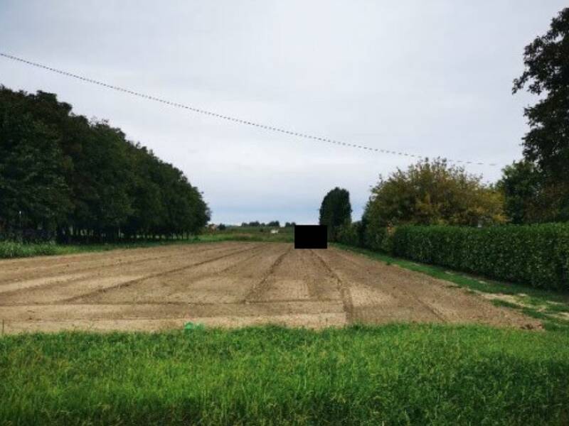 foto principale del terreno