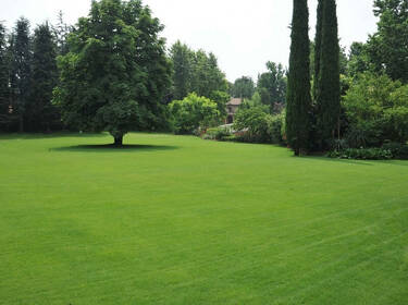 foto principale del terreno