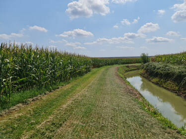 foto principale del terreno