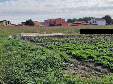 foto principale del terreno