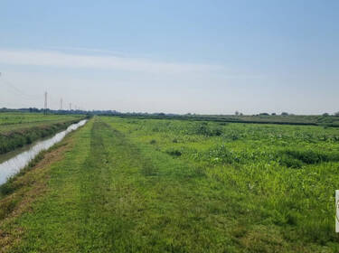 foto principale del terreno