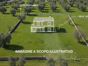 foto principale del terreno