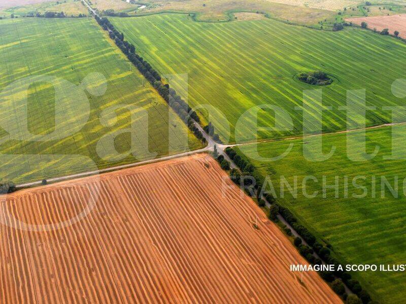 foto principale del terreno