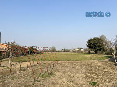 foto principale del terreno