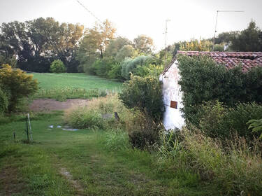 foto principale del terreno