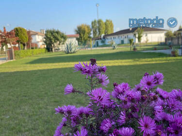 foto principale del terreno