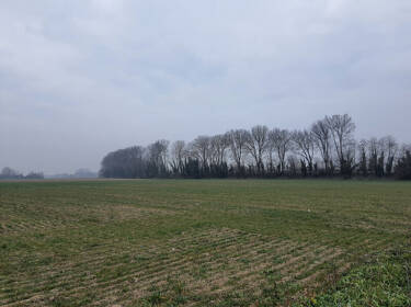 foto principale del terreno