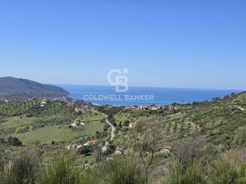 foto principale del terreno