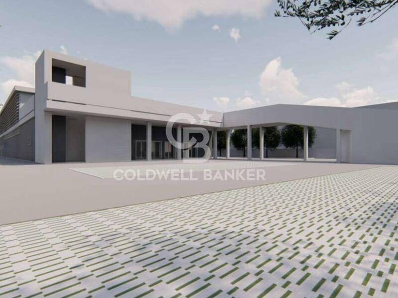 foto principale del terreno