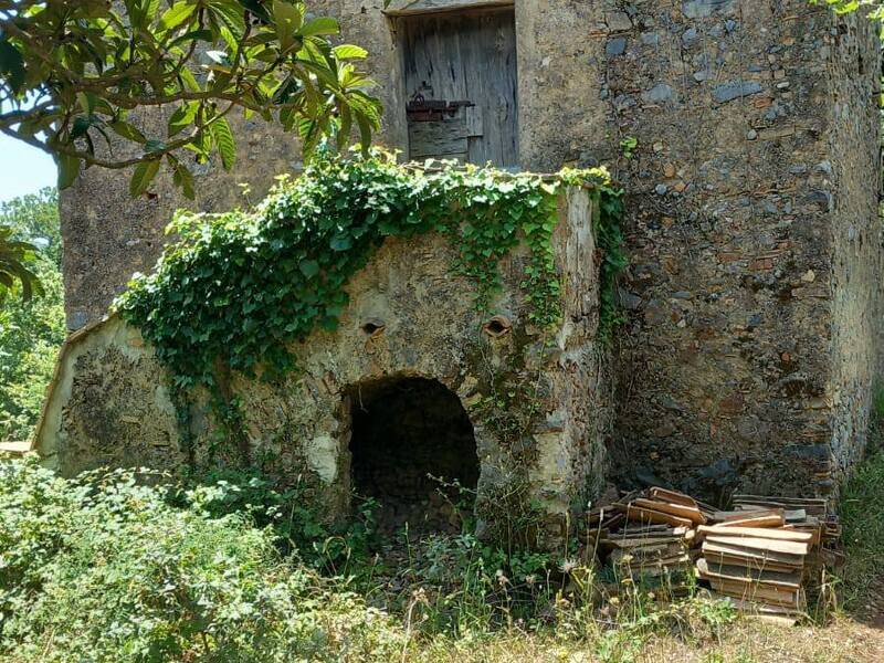 foto principale del terreno