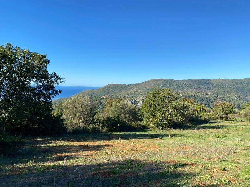 foto principale del terreno