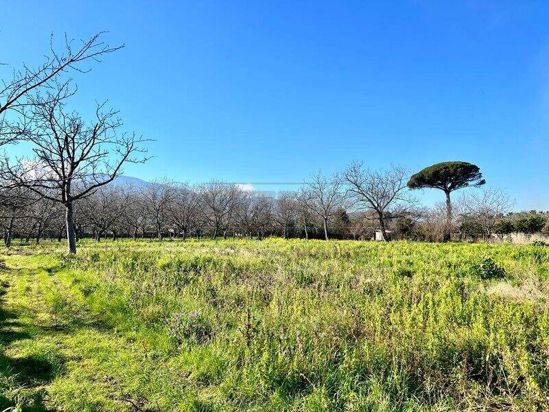 foto principale del terreno