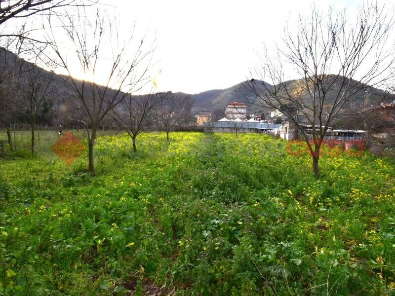 foto principale del terreno