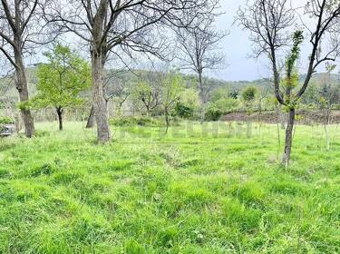 foto principale del terreno