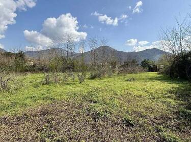 foto principale del terreno