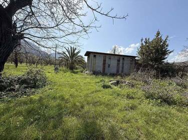 foto principale del terreno