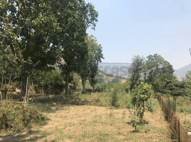 foto principale del terreno