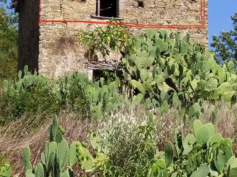 foto principale del terreno