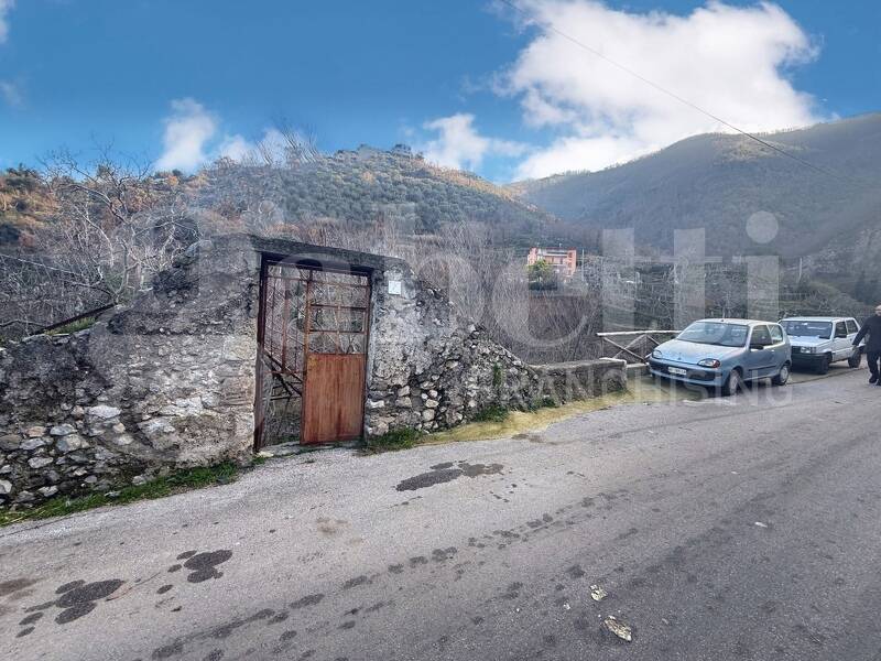 foto principale del terreno