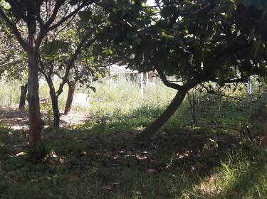 foto principale del terreno