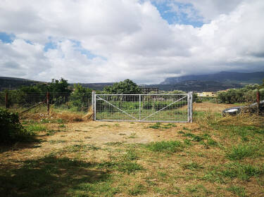 foto principale del terreno