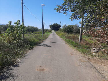 foto principale del terreno