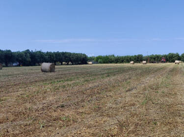 foto principale del terreno