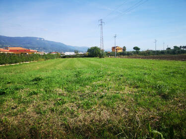 foto principale del terreno