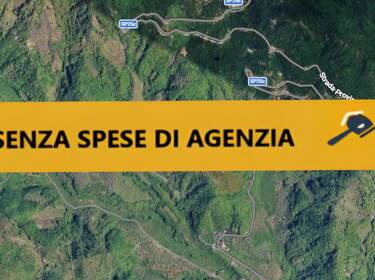 foto principale del terreno