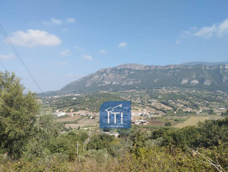 foto principale del terreno